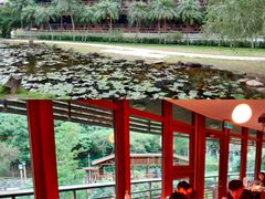 -台北101