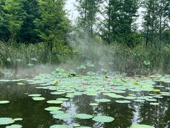 -梁鸿国家湿地公园