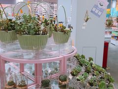 -KKV(深圳宏发大仟里店)