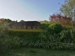-新江湾城公园