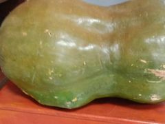 -水库活鱼馆(于桥水库店)