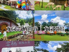 -云栖山谷野奢营地