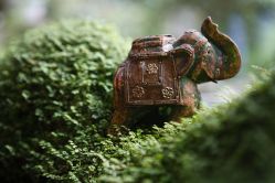 店内环境-老黑造型