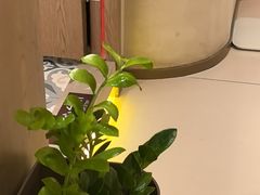 -泰合玺·精油疗愈 SPA(南京河西万达店)
