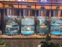 -老船舫·现做活鲜鱼馆(东郊记忆店)