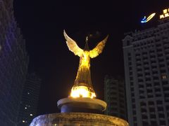 -碧桂园凤凰城酒店(南京店)