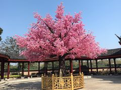 -广东圆玄道观