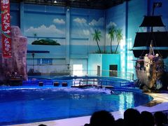 -华夏文旅海洋公园