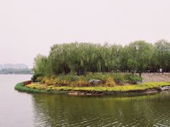 -大兴滨河森林公园