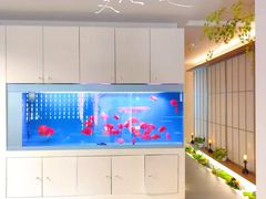 -宫七SPA·高端Massage(浦东大道店)