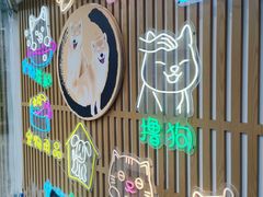 -南京Hallo宠物乐园·哈罗犬舍·柴犬繁育基地