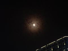 -望江门小龙虾·烧烤(九堡店)