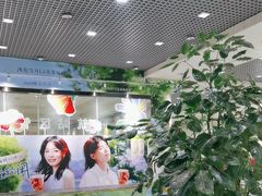 -丽江三义国际机场