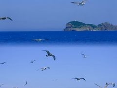 -海驴岛(荣成市)