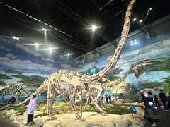 -自贡恐龙博物馆