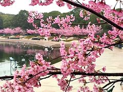-新江湾城公园