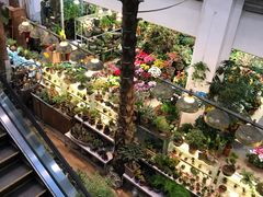 -双季花艺园艺市场(浦东店)