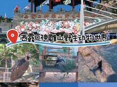 -西霞口神雕山野生动物世界