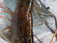 -椰子湾·海南火锅·糟粕醋·椰子鸡(正大广场店)