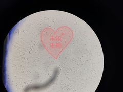 -太原东方动物医院(小店分院)