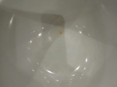 -水晶之星洗浴温泉汗蒸