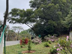 -东莞植物园