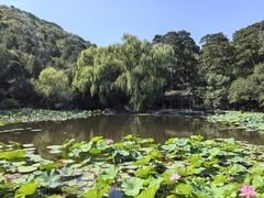 -香山公园