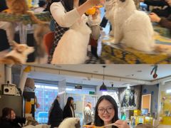 -平行世界·猫咖(首经贸店)