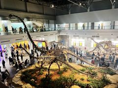 -自贡恐龙博物馆