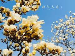 -上海辰山植物园