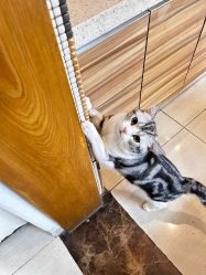 -长沙纹身·龙堂刺青·三土师傅的店