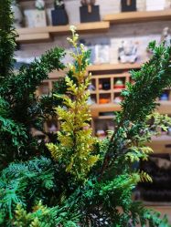 -今日陶艺(富力广场店)