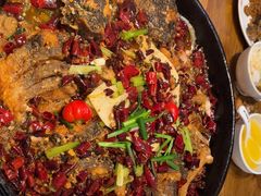 -老板恋上鱼(印象城店)