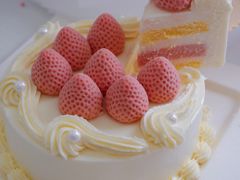 -壹点壹客·生日蛋糕(南山店)