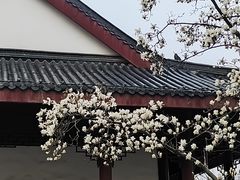 -堤角公园
