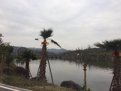 -枫香湖儿童公园