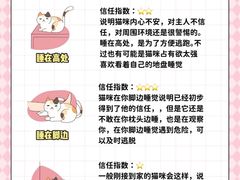 -翊宠yipet猫狗购宠庄园犬舍•猫舍