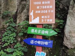-秦岭终南山世界地质公园翠华山景区