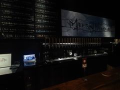 -MEDISN·药厂