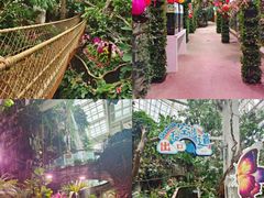 -正佳雨林生态植物园