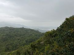 -三亚亚龙湾人间天堂鸟巢度假村