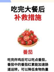 -Fundi张玉珊修身堂·indiba·BTL科技瘦身