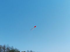 -春花秋色城市公园