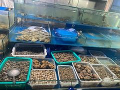 海鲜市场-四道口水产市场