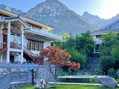 -禅宗少林·音乐大典