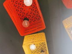 -七星布车休闲料理店