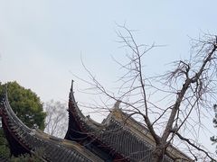 -西园戒幢律寺