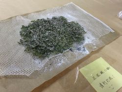 -太湖雪蚕桑文化园