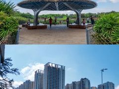 -福田红树林生态公园