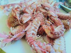 -宾朋海鲜特色美食餐厅·纯手工鲅鱼水饺(兴海路店)